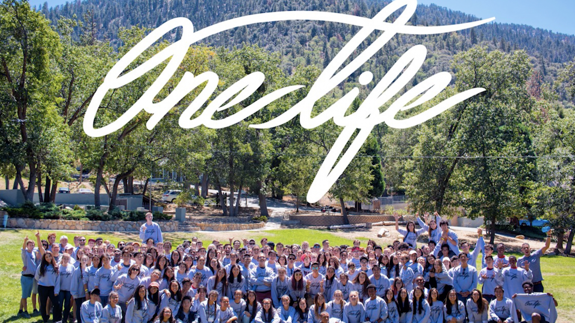 OneLife